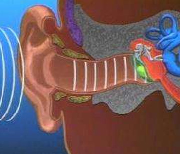 检查耳聋的常见方法是什么
