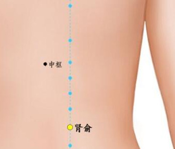 只要动一动 就能帮助女性养肾