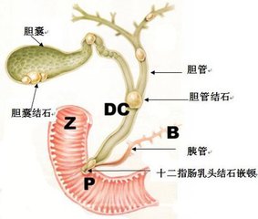 上海建国医院