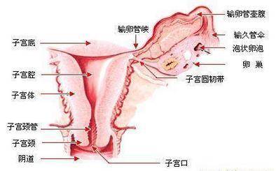 杭州太和堂国医馆